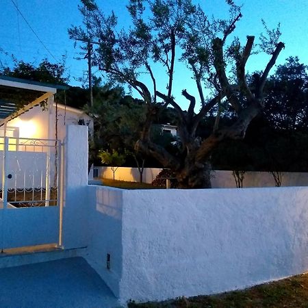 Skala Central House Bagian luar foto